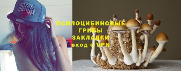 прущая мука Белоозёрский