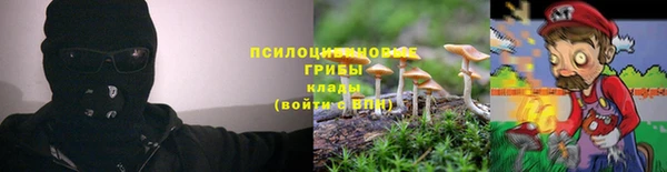 прущая мука Белоозёрский