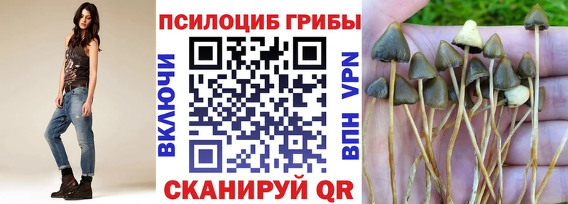 сколько стоит  Кирово-Чепецк  Псилоцибиновые грибы MAGIC MUSHROOMS 